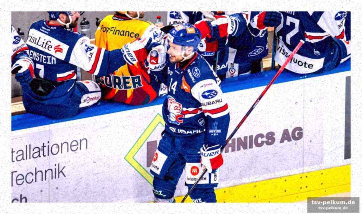 Mehr als nur eishockey: ein zweites standbein und mentaltraining