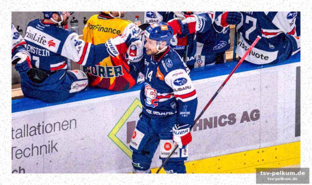 Mehr als nur eishockey: ein zweites standbein und mentaltraining