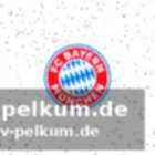 Bbl-pokal: überblick und weitere informationen