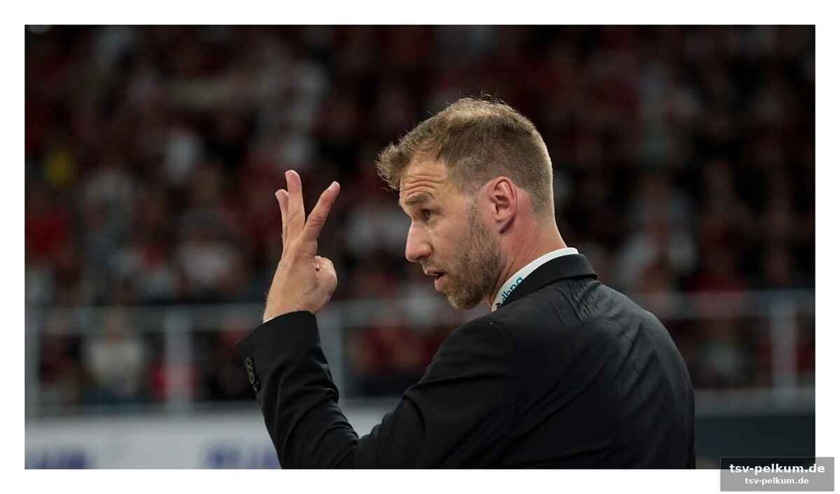 Fan-support aus berlin: stoschek übernimmt die kosten