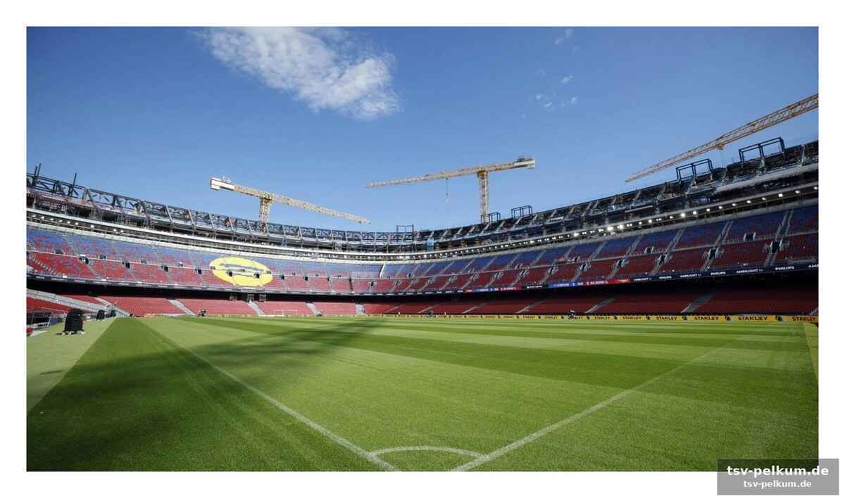 Mitglieder stimmen ab: braucht barça mehr geld?