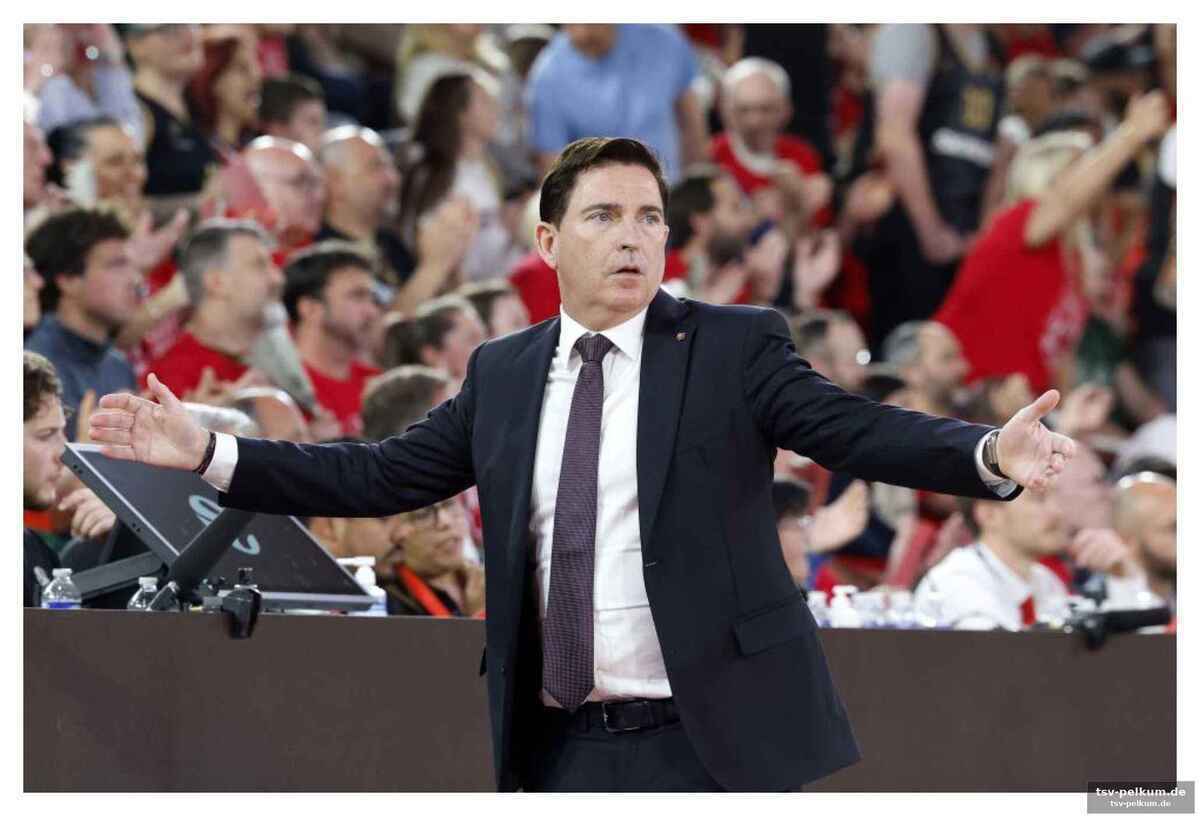 Fokus auf die acb-liga
