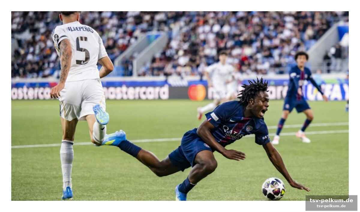 Die flick-connection und bolys entwicklung