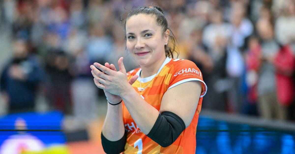 Barock volleys verstärken sich: volleyball-legende koskelo kommt!