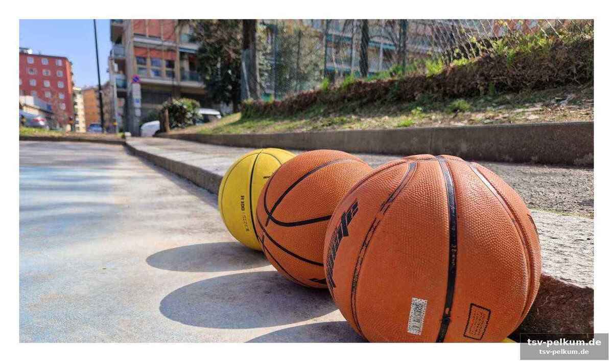 Ein madison square garden der italienischen pallacanestro
