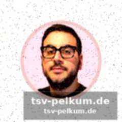 Die schwalbe, die nicht verblasst