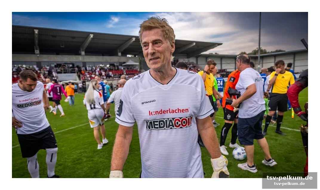Ein realistischer blick: stein räumt neuers wert ein