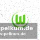 Hintergründe und notwendigkeit der transfers