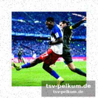 Stimmen zum spiel