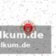 Spielverlauf: führung durch terrier, schick und hofmann