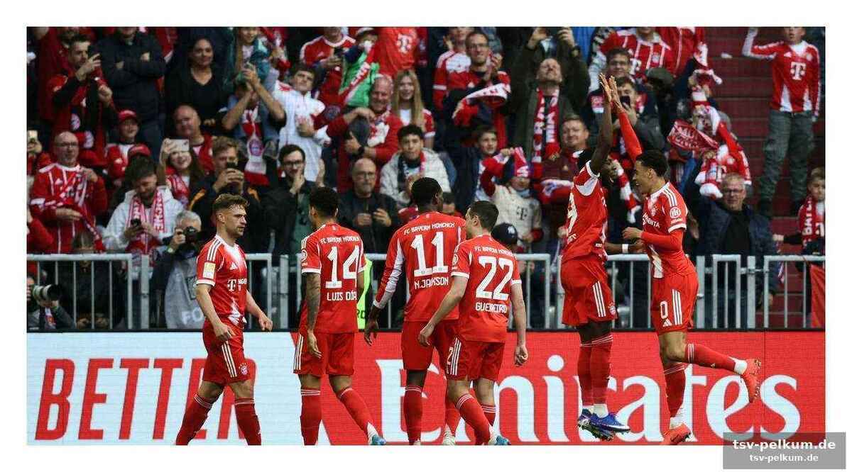 Vom liga-könig zum champions-league-anwärter