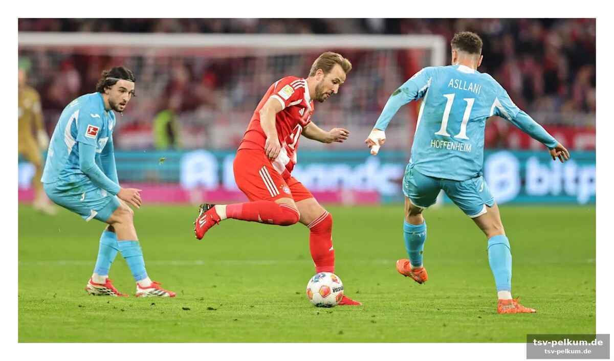 Die zweite liga: schalke als quoten-vorreiter