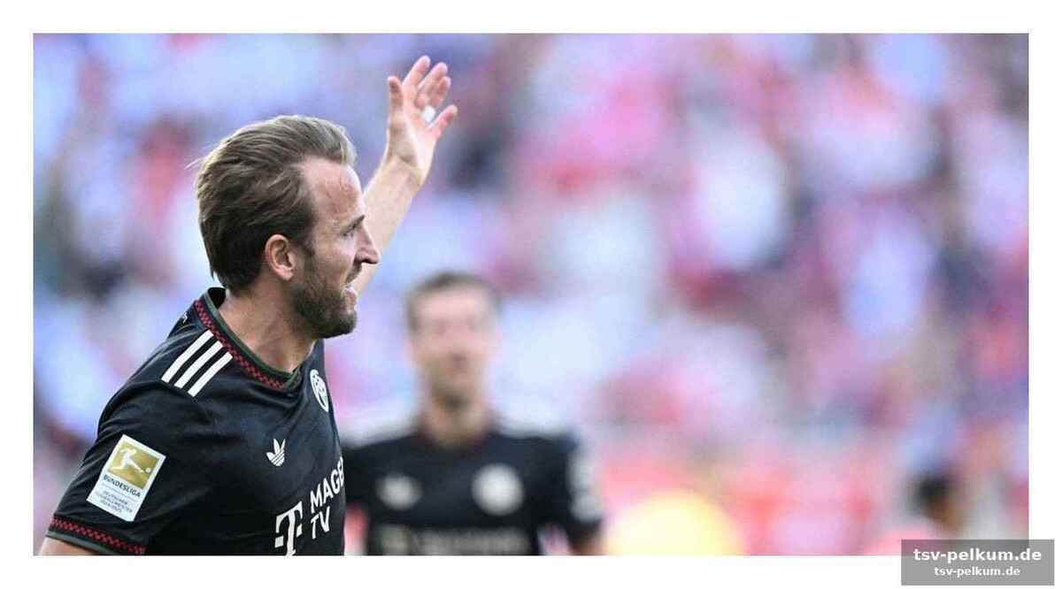 Kane im fokus: rückenwind für den topstar