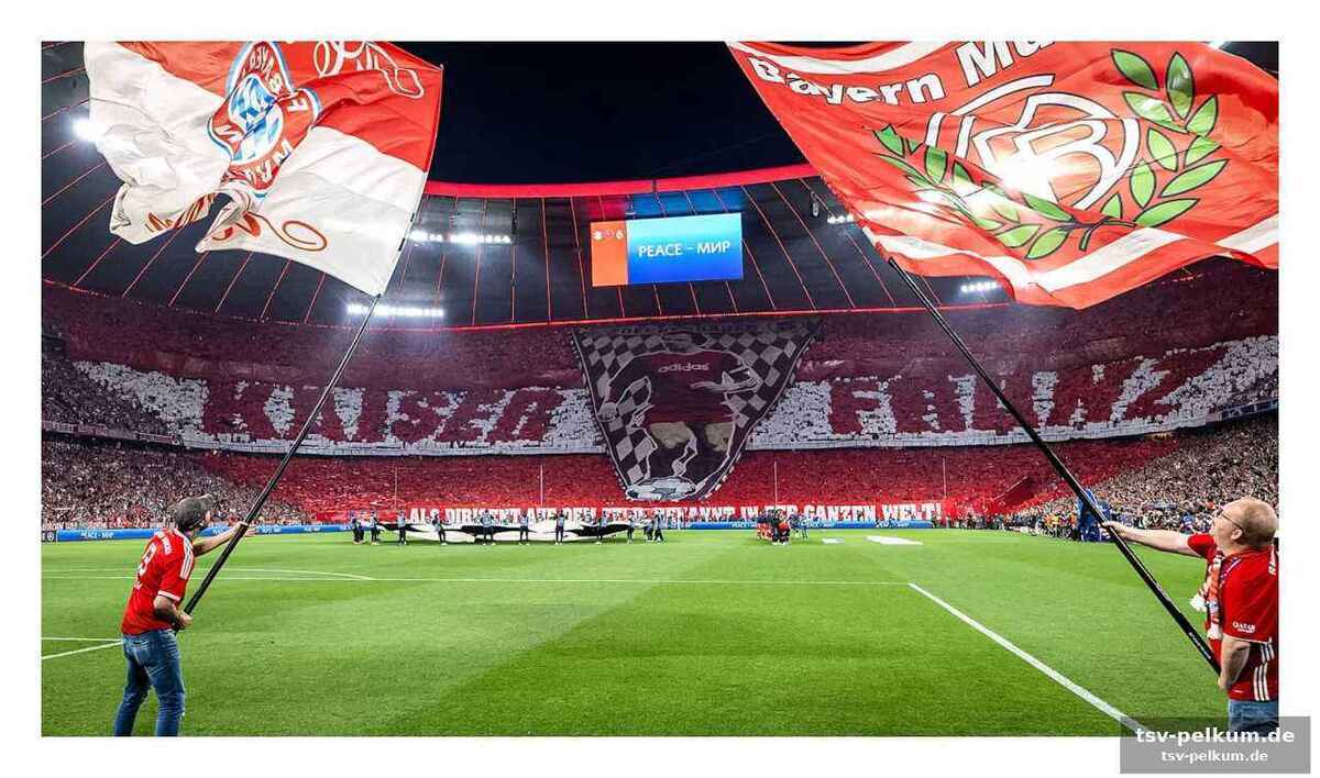 Ein rotes meer als zeichen des willens