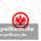 Europäische spitze in sachen effizienz