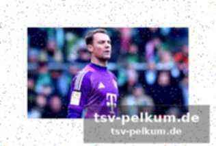 Die fohlen kommen mit dem freitag im blut