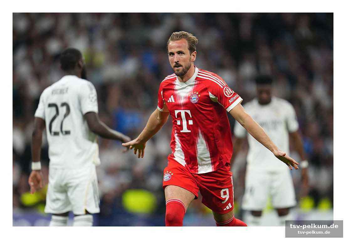 Kann kane den bayern zum triumph verhelfen?