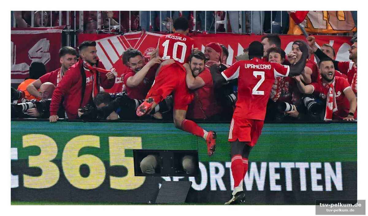 Südkurve unter beobachtung: bewährung steht auf dem spiel