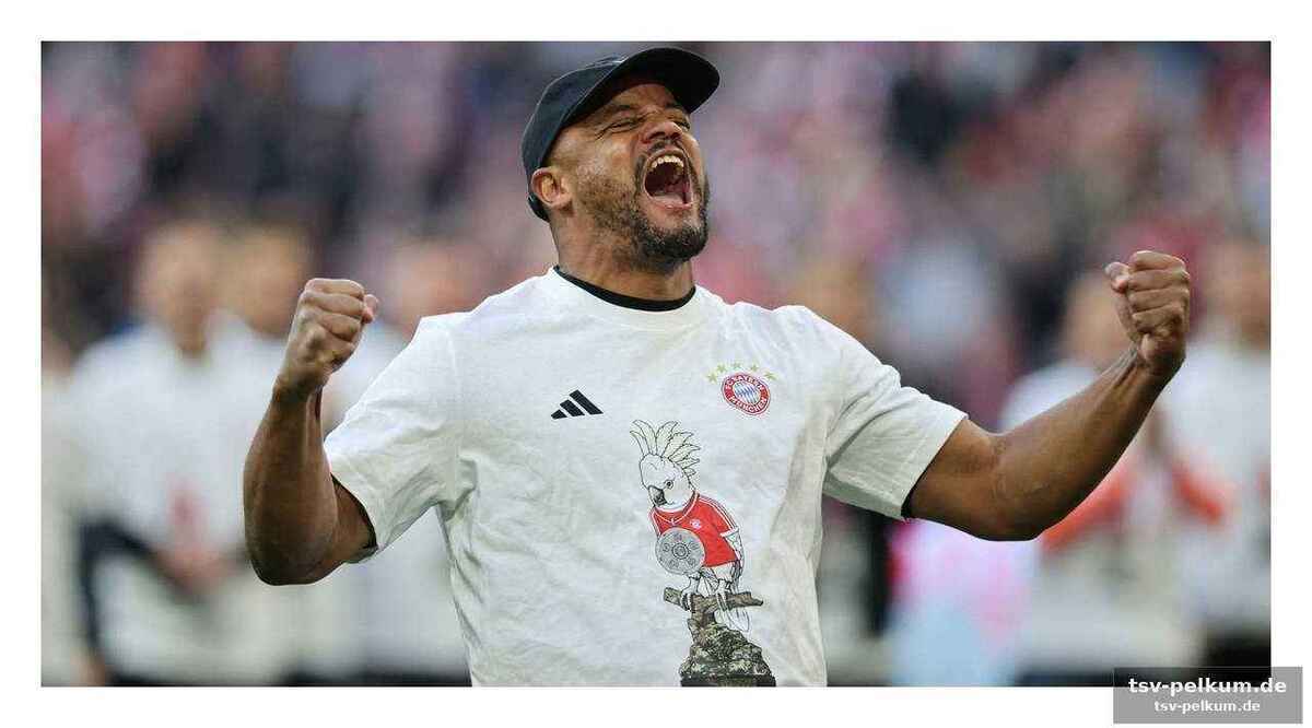 Der blick nach vorn: champions league und pokalfinale