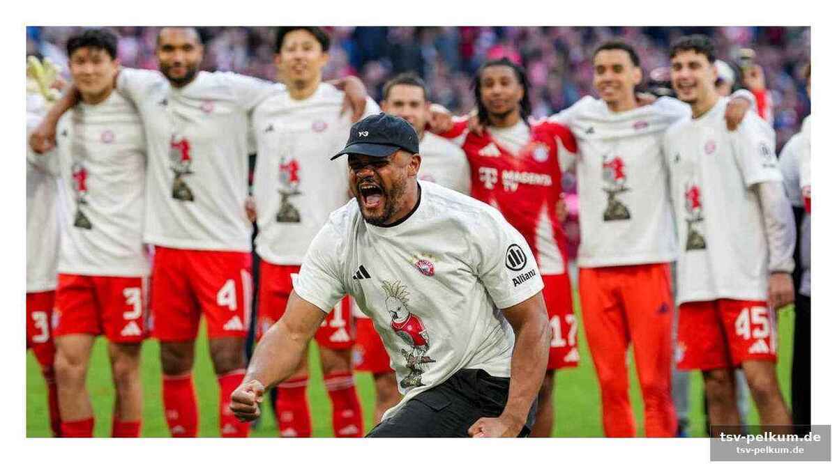 Champions-league-finale zwischen bayern und psg?
