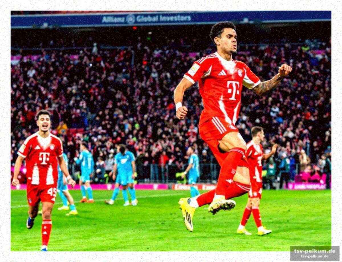 Frühe rote karte für hoffenheim
