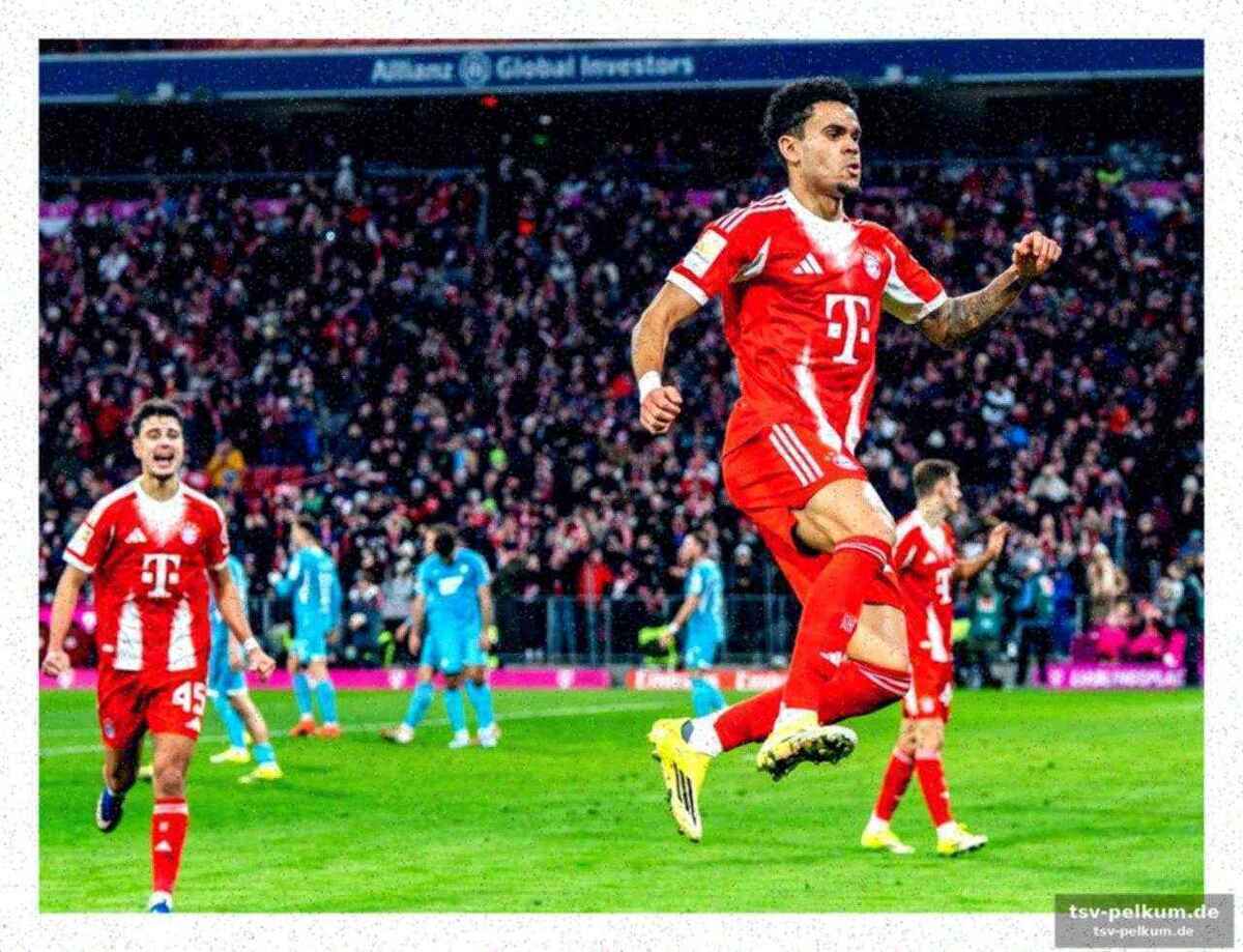 Frühe rote karte für hoffenheim