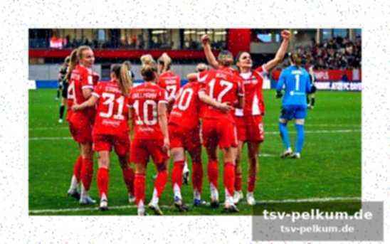 Damnjanovic: „wenn wir das nicht bringen, sind wir dumm“