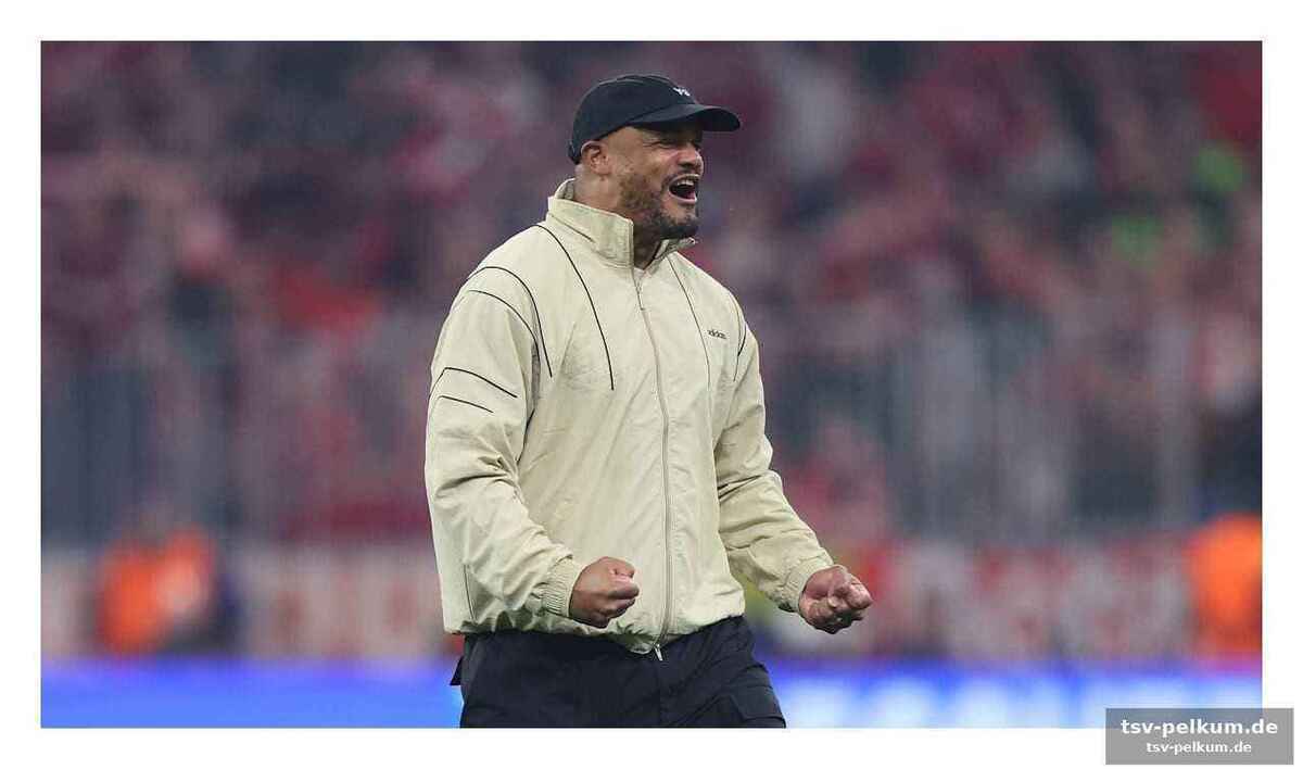 Die champions-league-euphorie wird kanalisiert