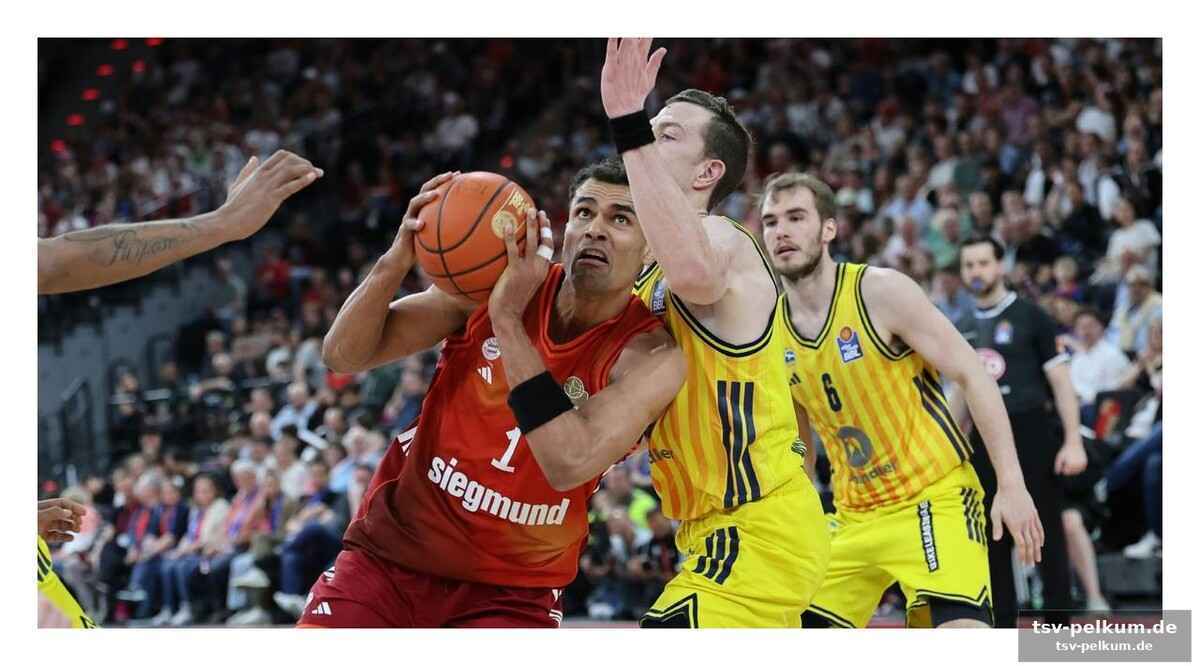 Pesic sieht verbesserungspotenzial