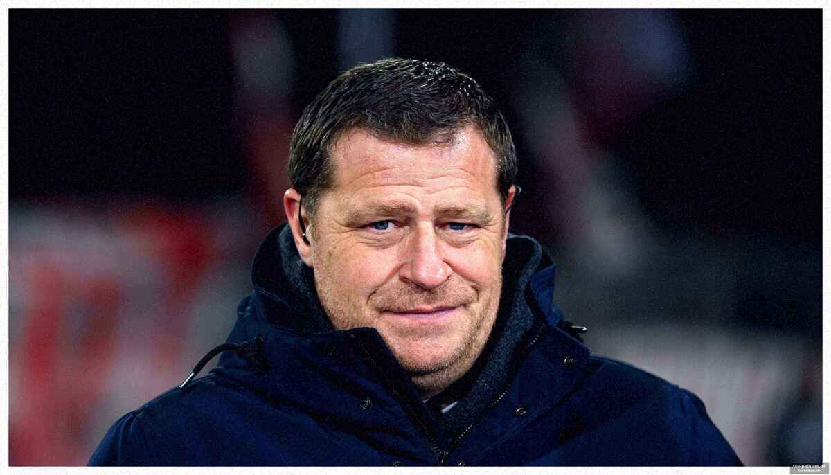 Die neuzugänge: wer verstärkt die bayern?