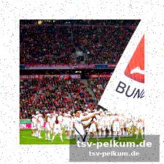 Weitere entwicklungen in der bundesliga