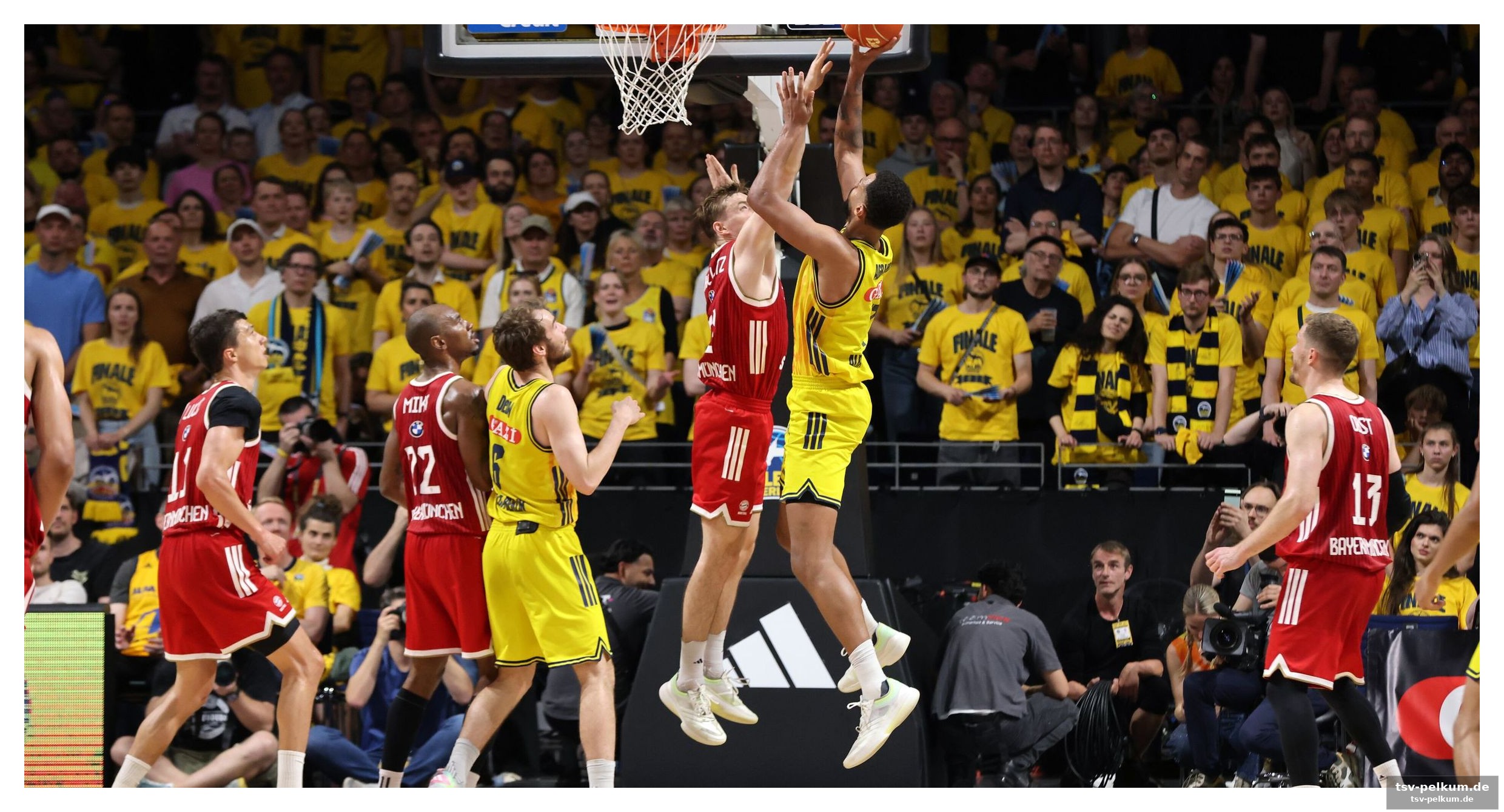 Pesic
