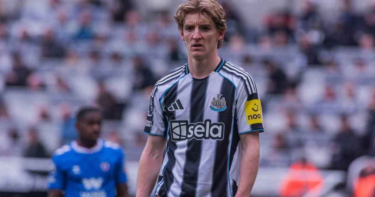 Bayern-brummle: shearer hält bayern-wechsel für gordon für gefährlich!