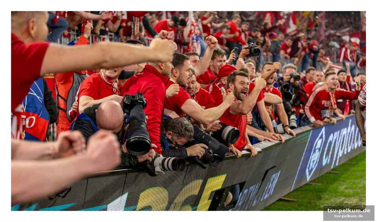 Journalisten-verband schlägt alarm: brandbrief an bayern und uefa