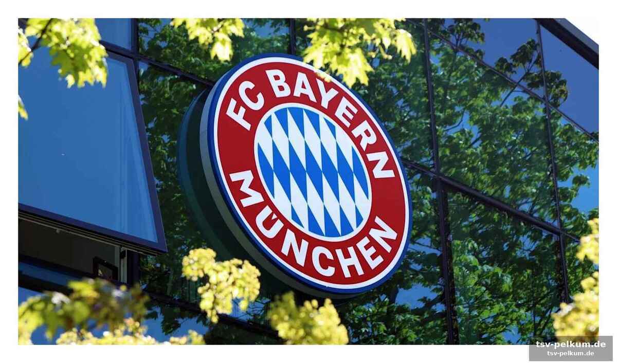 Die details des scouting-fehlers