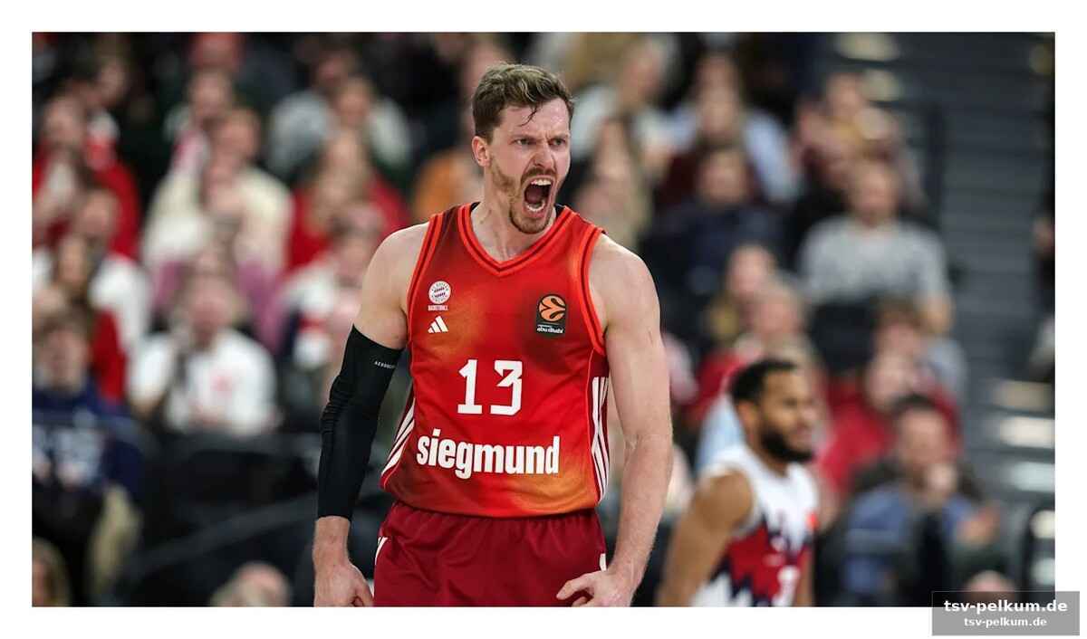 Bamberg – der sensations-pokalsieger mit kleinem budget