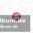 Die auslosung: wer trifft auf wen?