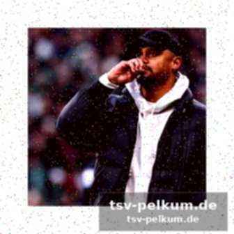 Finale am sonntag: wer holt sich den titel?