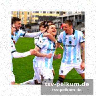 Überraschungsteam bamberg: eine analyse