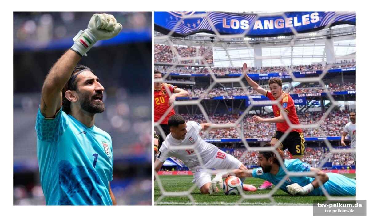 Guinness-weltrekord und ronaldo-elfmeter: ein torwart der superlative