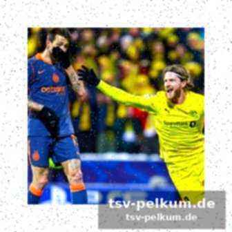 Die uefa und der kampf gegen rassismus