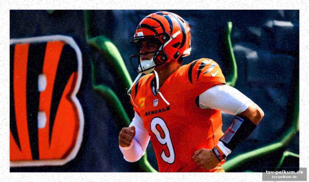 Ein überblick über die draft-picks der bengals