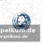Vesna tolic: führungsspielerin im rückraum