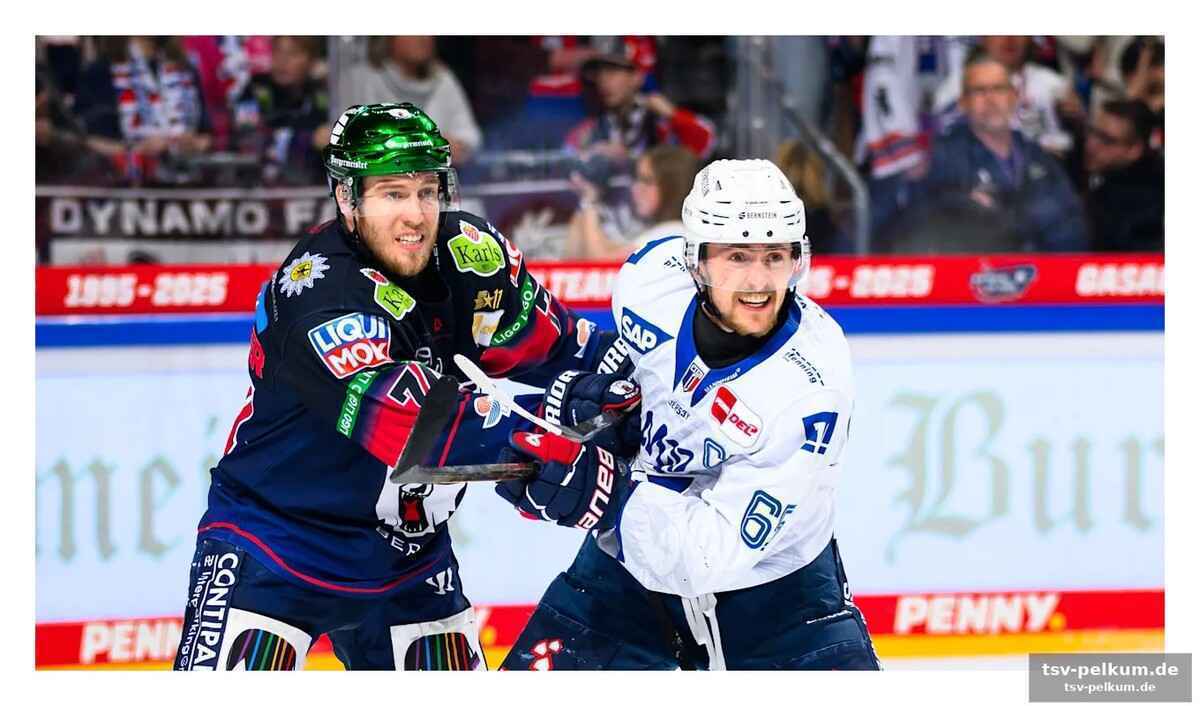 Fernsehgold für zuschauer: free-tv-übertragung auf sport1