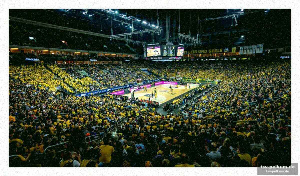 Adlershof wird zum basketball-campus