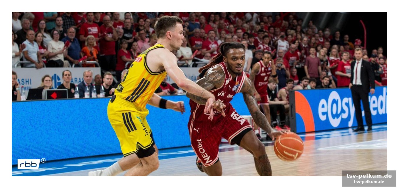 Budget david gegen goliath