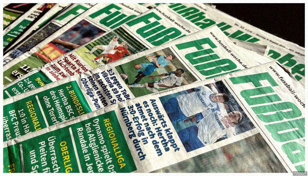 Finanzierung über dfb, verbände und crowd
