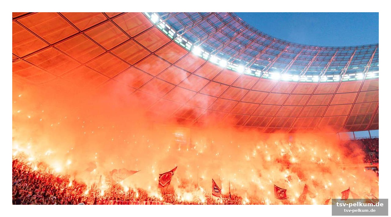 Pyro, protest, politik – der dfb steht mit leeren händen da
