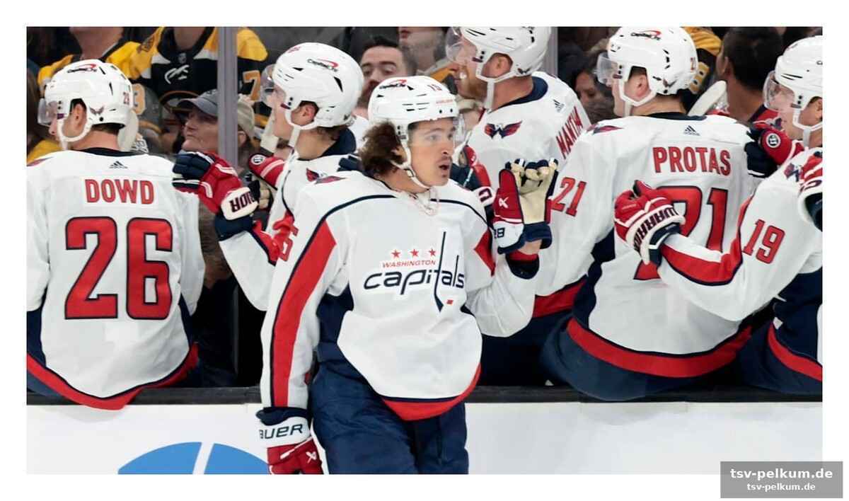 Der nhl-profi kommt ins seeland