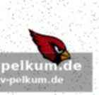 Vom vikings-nachwuchs in die nfl – eine erfolgsgeschichte